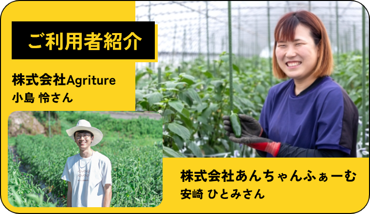 生産者・販売者様の声をお届け！