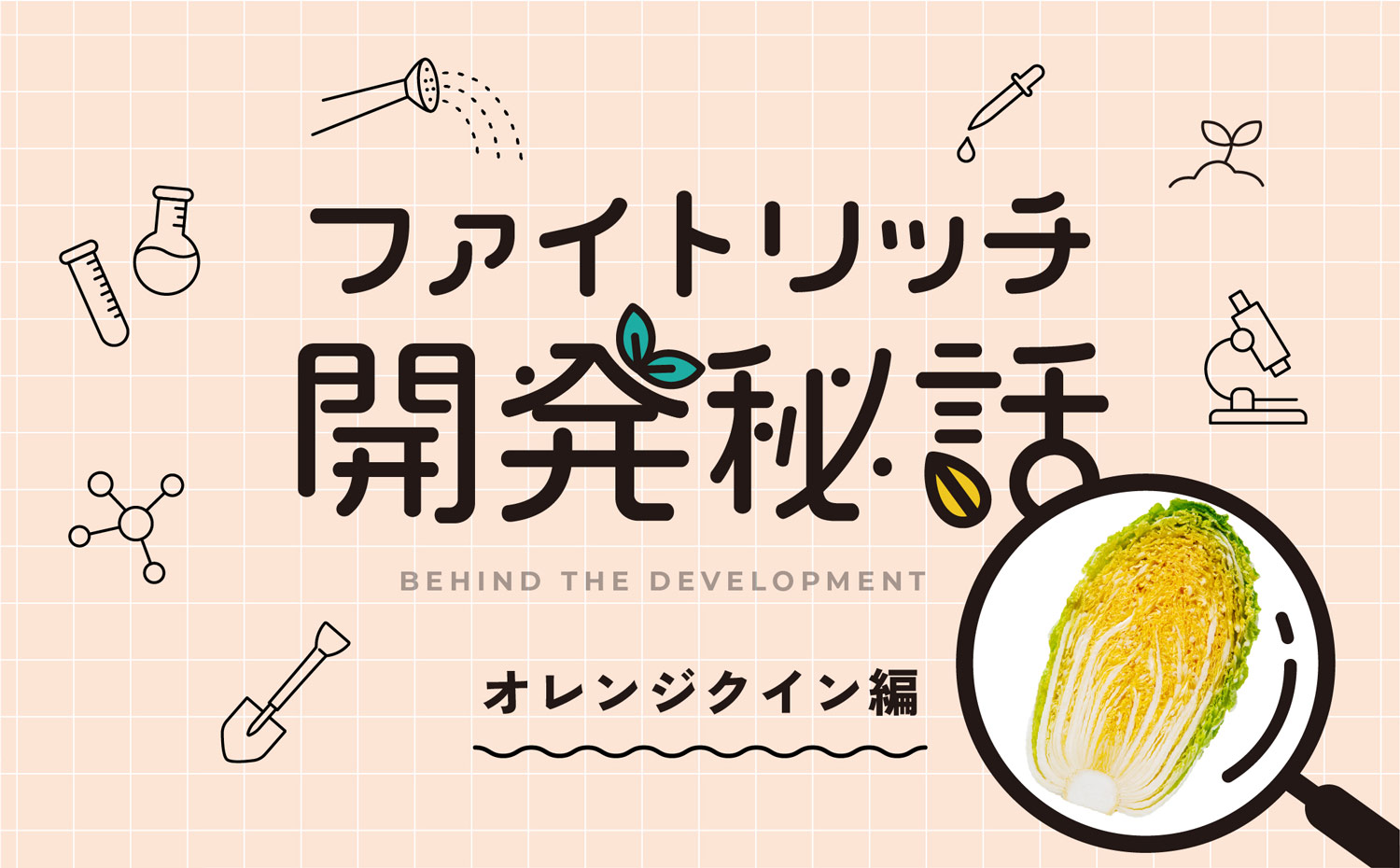 トップシークレット!? <br>極秘に進められた「奇跡のハクサイ」開発