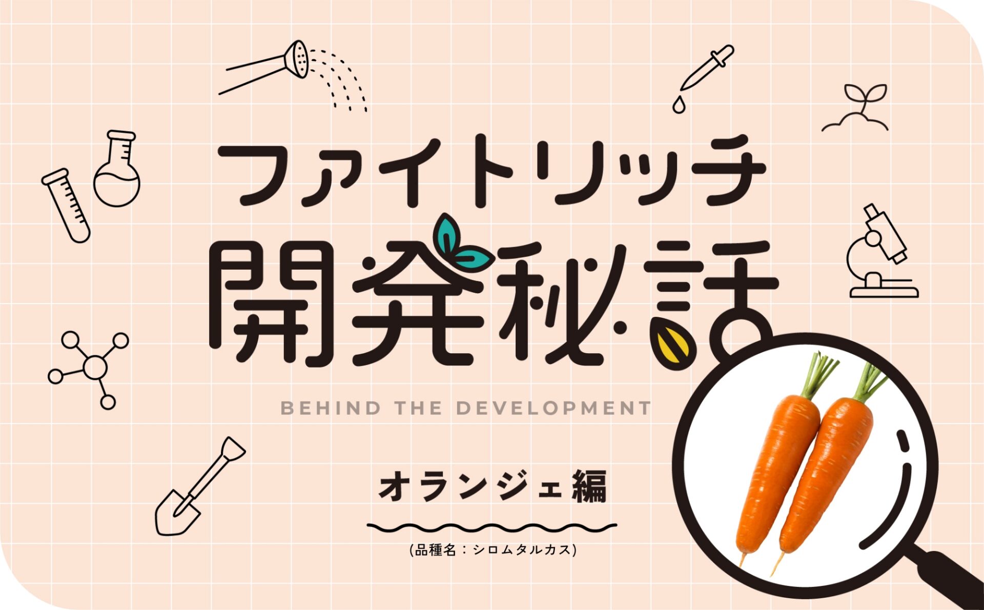 昔からニンジン嫌い<br>そんな開発者が「これならお子さんも食べてくれる！」と太鼓判を押したカロテン含有量約1.5倍のおいしいニンジン